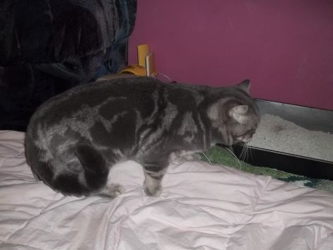 100_5547.jpg
